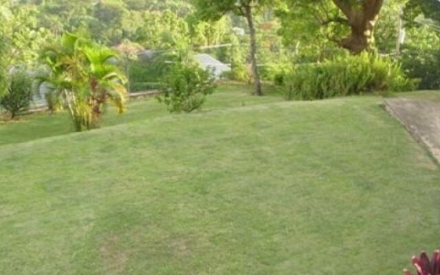 Hill Top Kingston Jamaica Bed & Breakfast