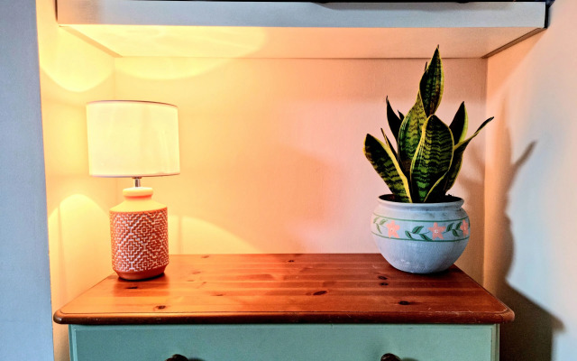 Vibrant Spacious Apartment In West End