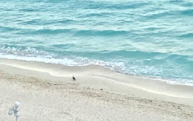 Ocean View Apartments – Delicia