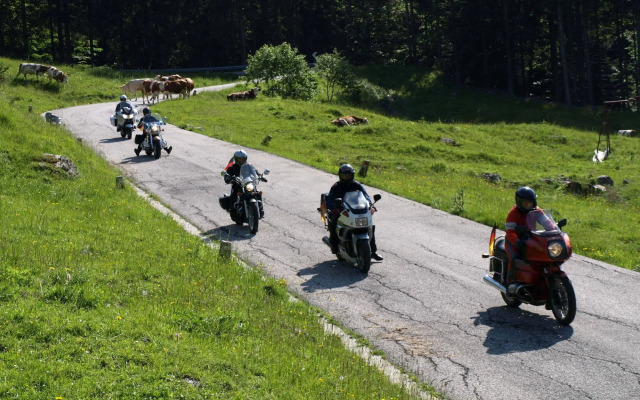 Al Gallo Forcello 1530