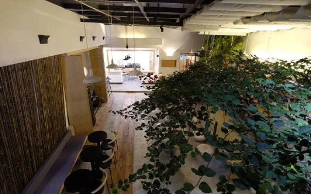 DaLi LOFT Travelling With Hostel