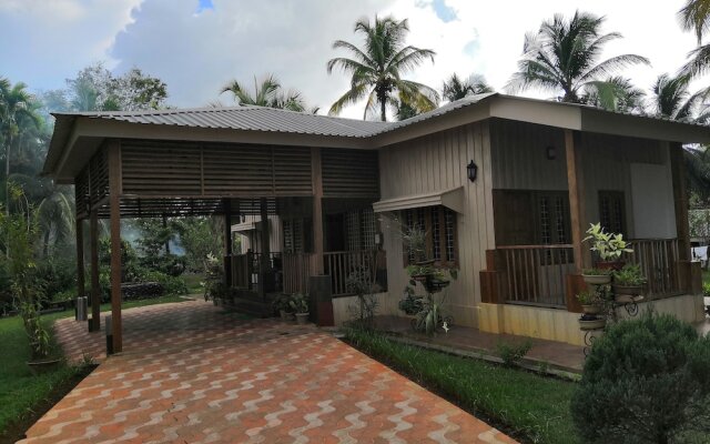 Rainforest Resort