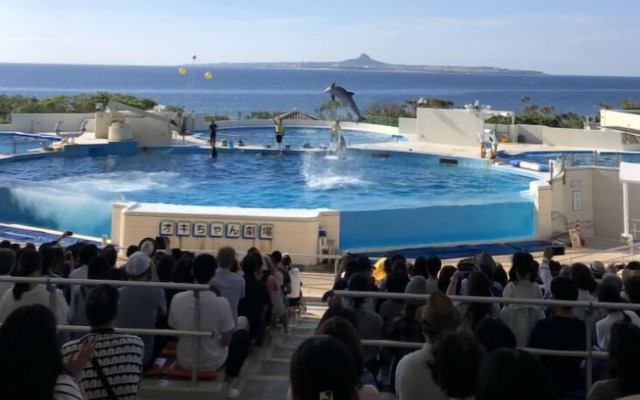 Okinawa Freedom