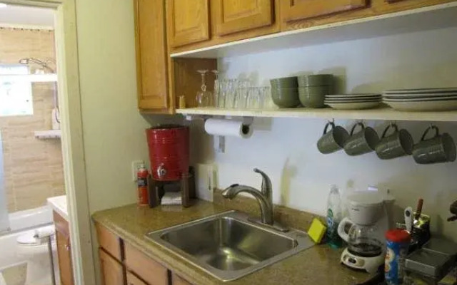 Volcano Fern Forest Retreat