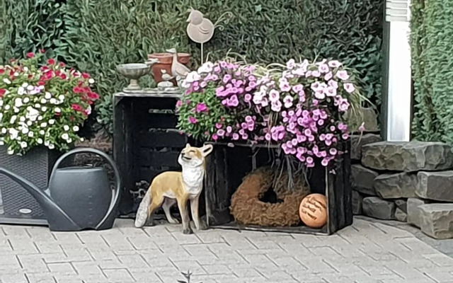 Dachgeschoss35