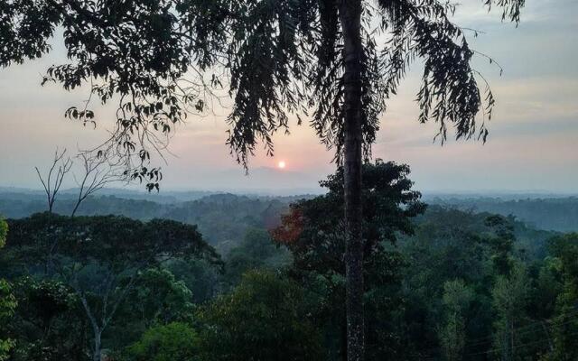 Forestdale Coorg