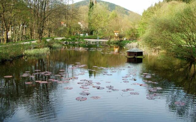 Harz Hotel Iris