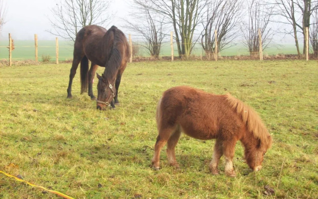 Wohnung in Blowatz an der Ostseekuste