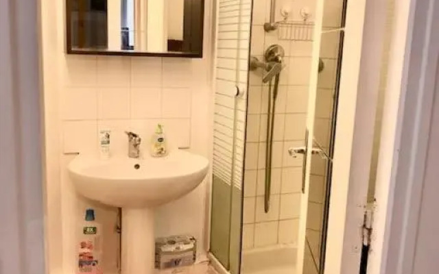 Lovely Duplex in the Center of Fontainebleau