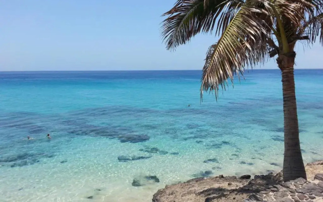 The Paradise On The Ocean 7