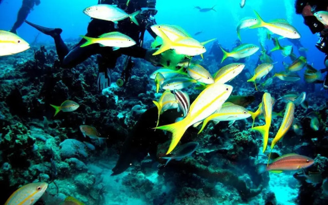 Casa Naturaleza Felix y Zoilita