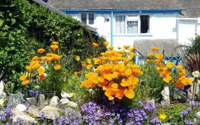 Period Living in Hayle