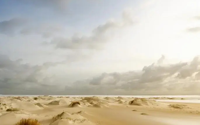 B&B Vloedlijn Texel