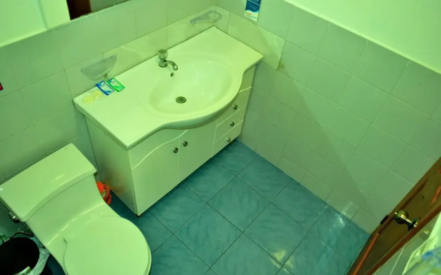 Flightless Cormorant