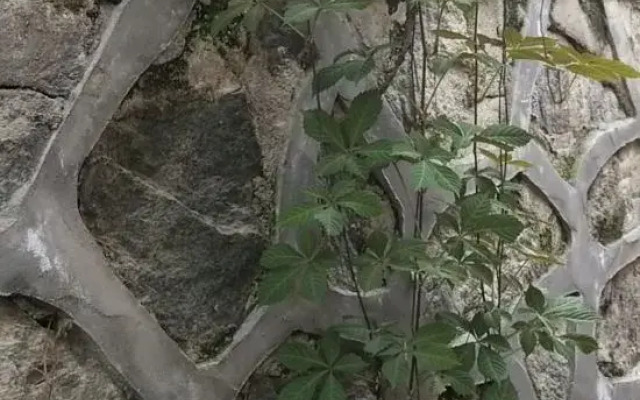 Zhongbang Tribe Homestay