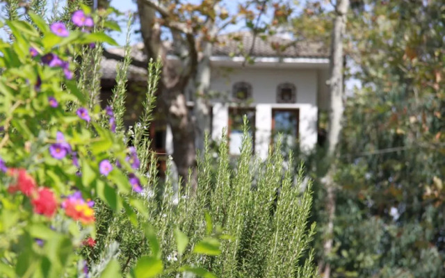 Platanofylla Studios & Apartments