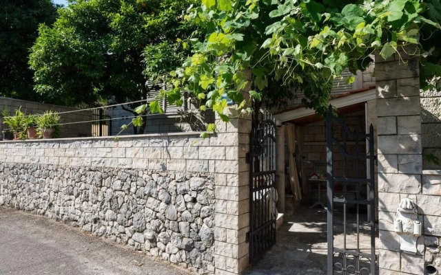 Apartment Wild Orange