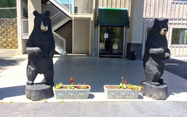 Econo Lodge Waynesville