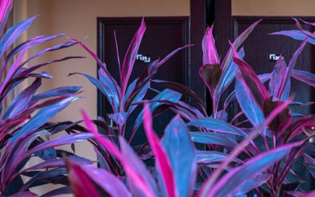 Semporna Seaview Hotel