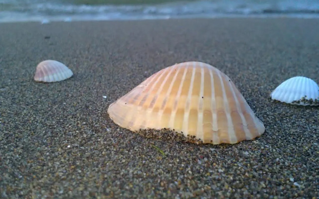 Mareazzurro