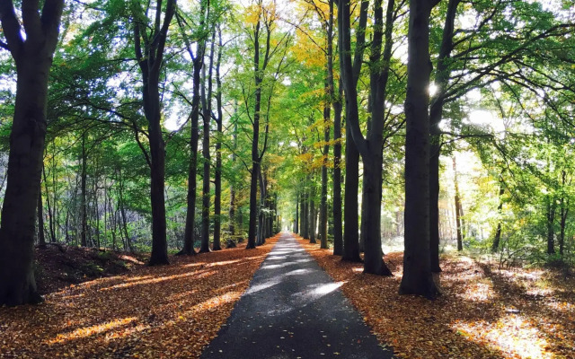 Cozy Holiday Home in Zorgvlied with Private Garden