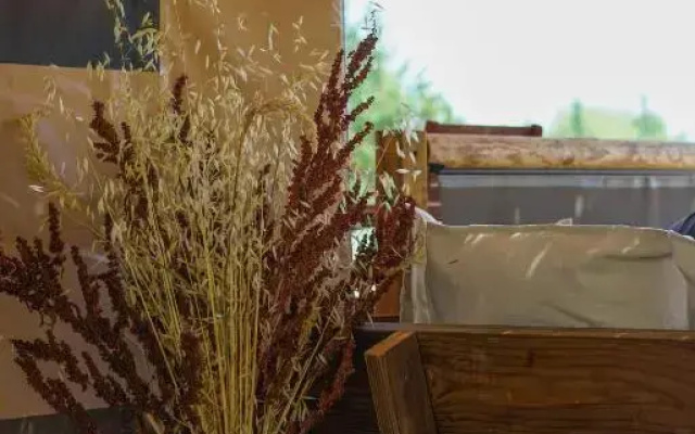 Cabane Ayana