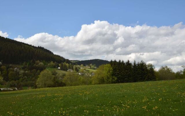 Comfy Apartment in Zendscheid near Forest