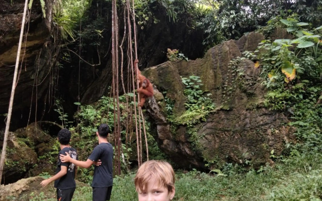Wisma Batu Mandi and Jungle trekking