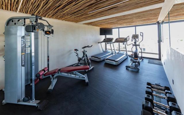 Hive Cancun