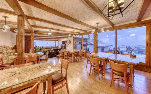 Hotel Alpine Castle