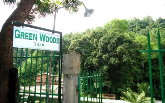 Green Woods