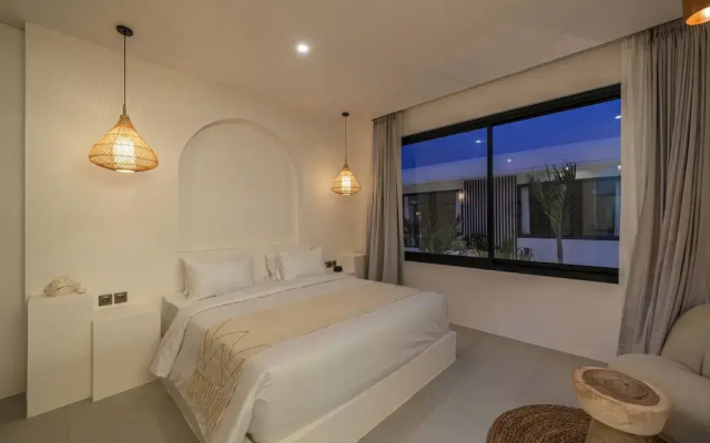 Nova Oasis 1