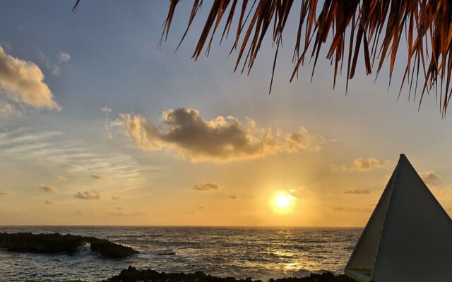 Go Natural Jamaica Retreats