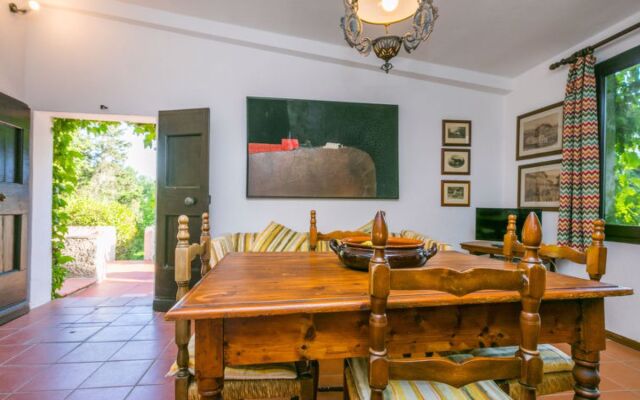 Bardeggiano - Caterina 7 (COL240)