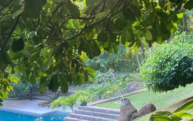 Wija House - Unawatuna