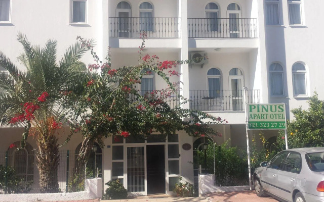 Pinus Otel