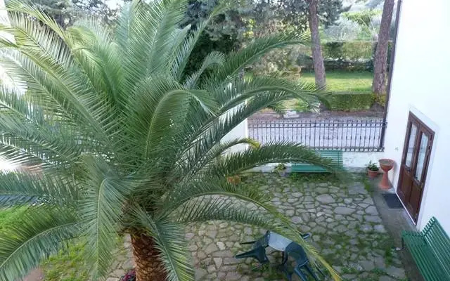 Agriturismo B&B La Sterpina