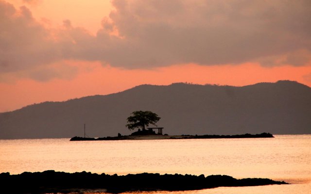 Bayog Beach Campsite