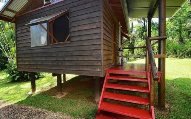 Daintree Rainforest Bungalows