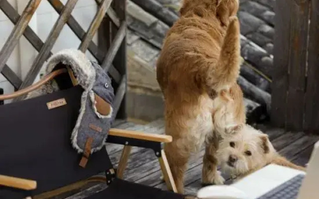 Lushang Youth Hostel