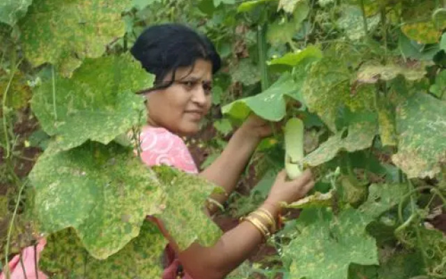 Sneha Farm House