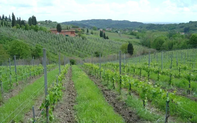 Fattoria di Fubbiano
