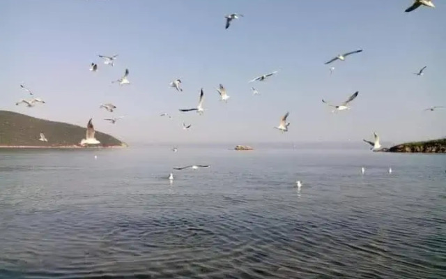 Anastasia's Apartment 2