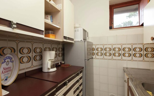 Home at 300 m From the sea