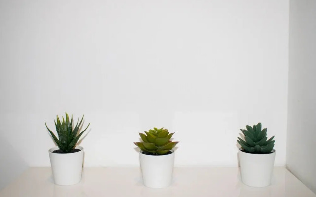 Bright And Modern 2 Bedroom Flat