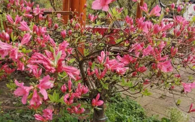 Tiantangzhai Laozhujia Farmhouse Inn