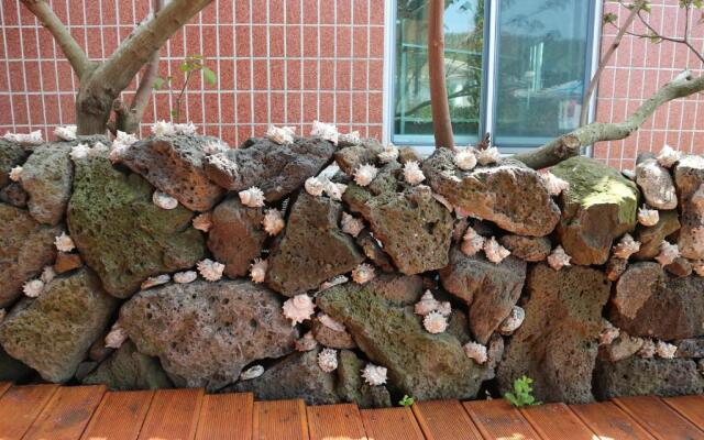 Blue Island Guesthouse - Hostel