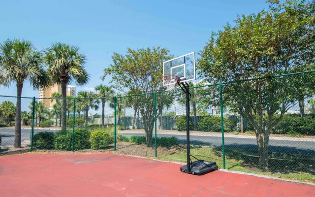 Dunes of Panama #b203