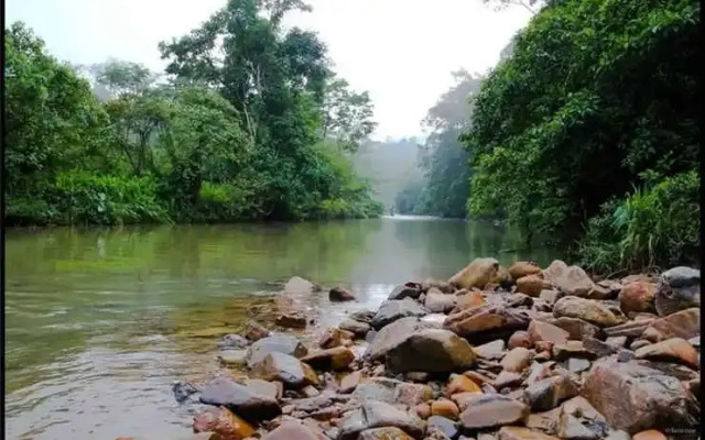 Selesa View Gambang