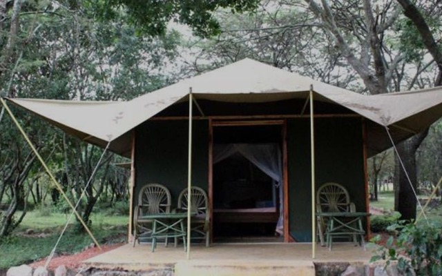 Mara Springs Safari Camp